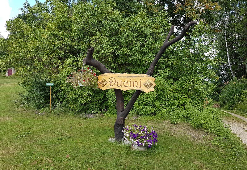 member-image